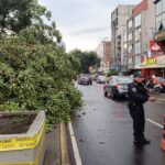 Hoy en CDMX y Edomex: Protestas y cierres de calles el 19 de diciembre frente al Congreso de la Unión