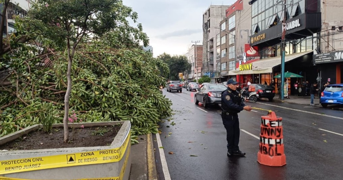 Hoy en CDMX y Edomex: Protestas y cierres de calles el 19 de diciembre frente al Congreso de la Unión