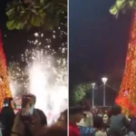 Incendio de árbol durante encendido navideño en Puerto Vallarta, Jalisco | VIDEO