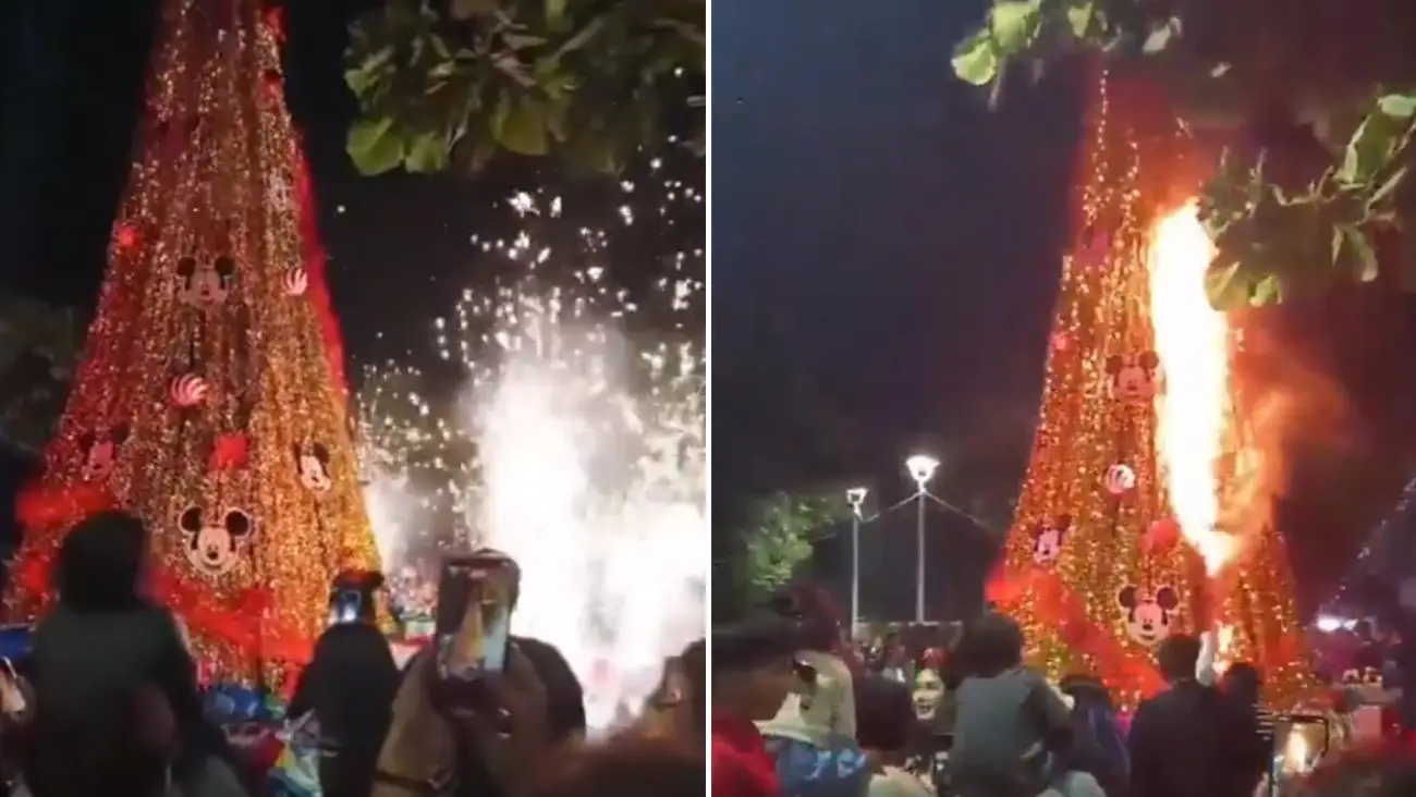 Incendio de árbol durante encendido navideño en Puerto Vallarta, Jalisco | VIDEO