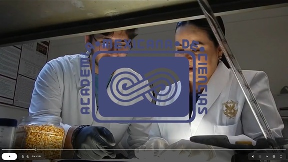 Ingreso a la Academia Mexicana de Ciencias de dos investigadores de la UAS