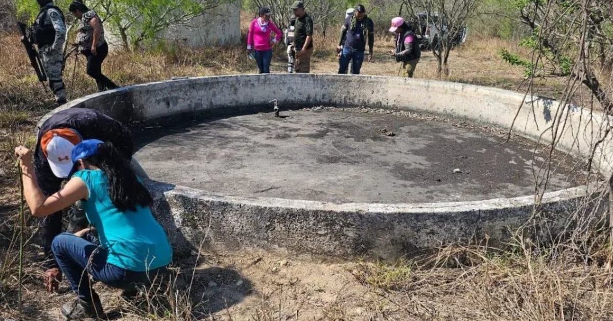 Madres de Tamaulipas marchan en Reynosa por sus desaparecidos: El dolor detrás de la Navidad