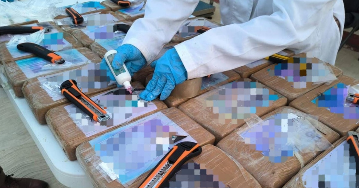 Marina incauta alrededor de 30 paquetes de cocaína cerca del puerto de Acapulco, Guerrero.