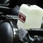 Polémica de evasión fiscal en 2025: desde el propietario de Miss Universo hasta altos cargos de la Marina