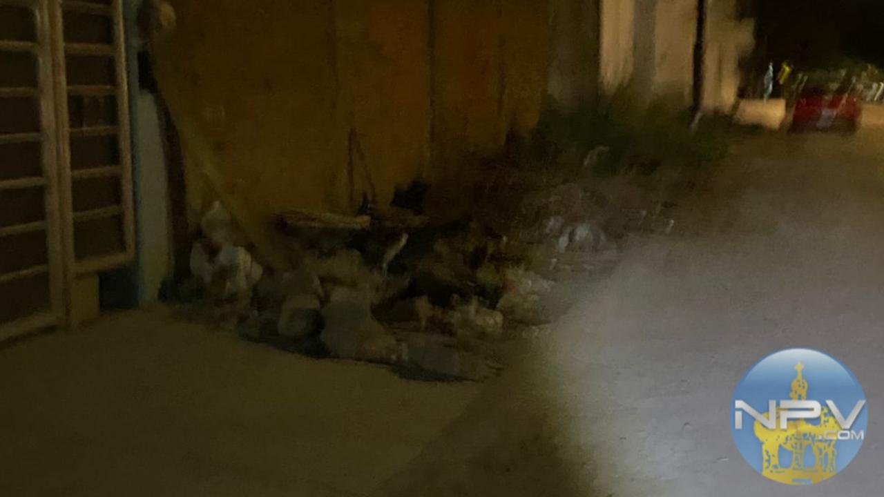 Problema persistente: acumulación de hojas en las aceras de Puerto Vallarta