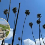 Pronóstico del tiempo en Los Mochis para el jueves, 18 de diciembre: Día caluroso con cielos despejados