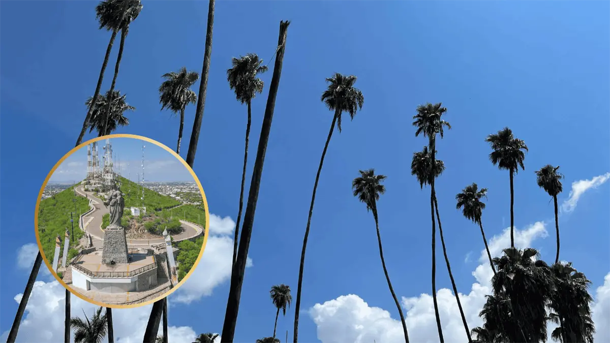 Pronóstico del tiempo en Los Mochis para el jueves, 18 de diciembre: Día caluroso con cielos despejados