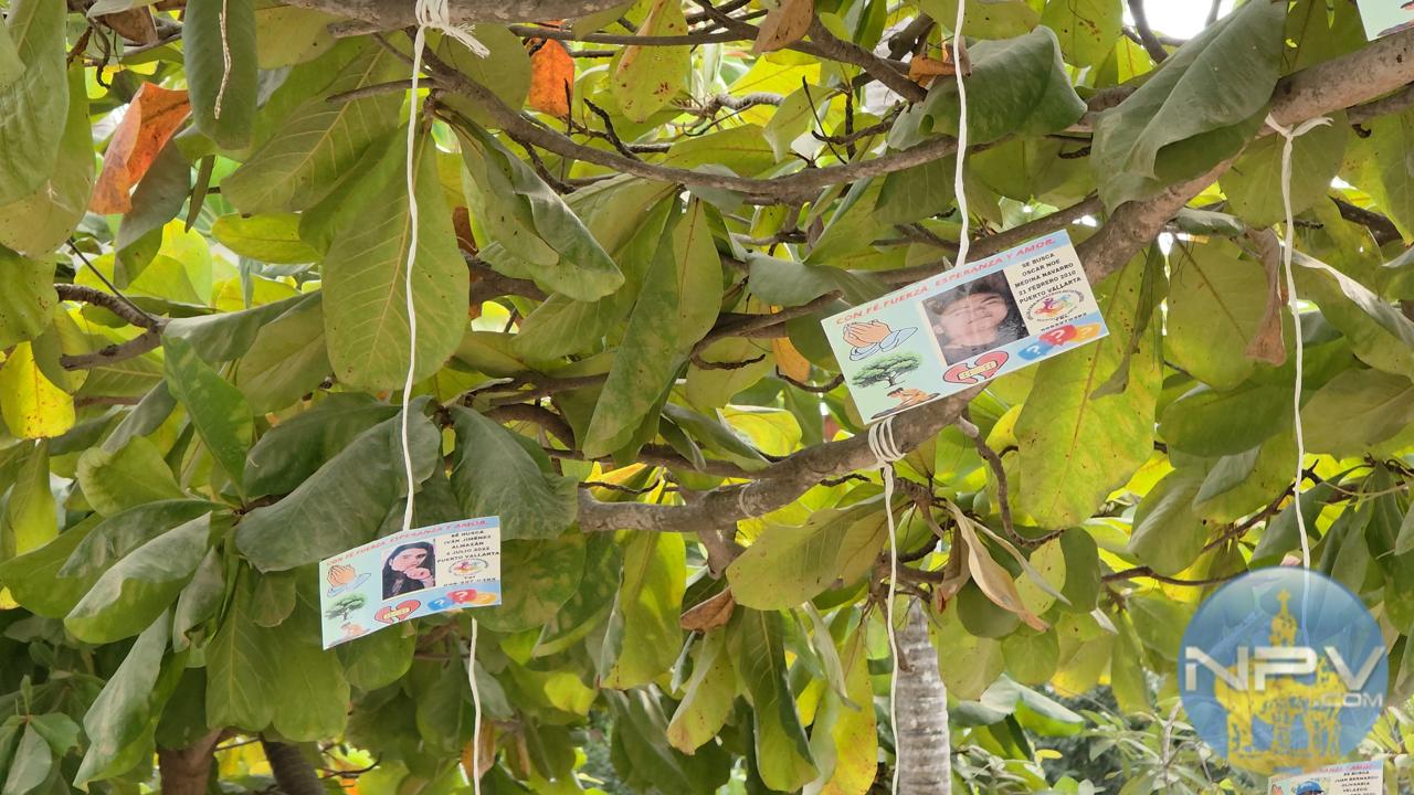 Reclaman iluminación para el monumento de desaparecidos en la plaza de Ixtapa