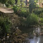 Residentes de Villa de Guadalupe demandan limpieza inmediata ante brotes de infección cerca de un parque acuático