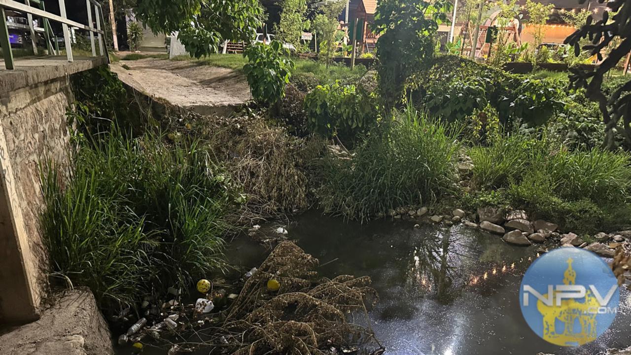 Residentes de Villa de Guadalupe demandan limpieza inmediata ante brotes de infección cerca de un parque acuático