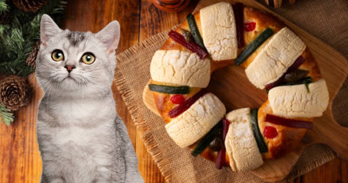 Rosca de Reyes con diseño felino: ¿Dónde comprarla en la CDMX?