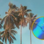 Se esperan temperaturas récord y vientos fuertes en Sinaloa luego de un calor inusual post Navidad