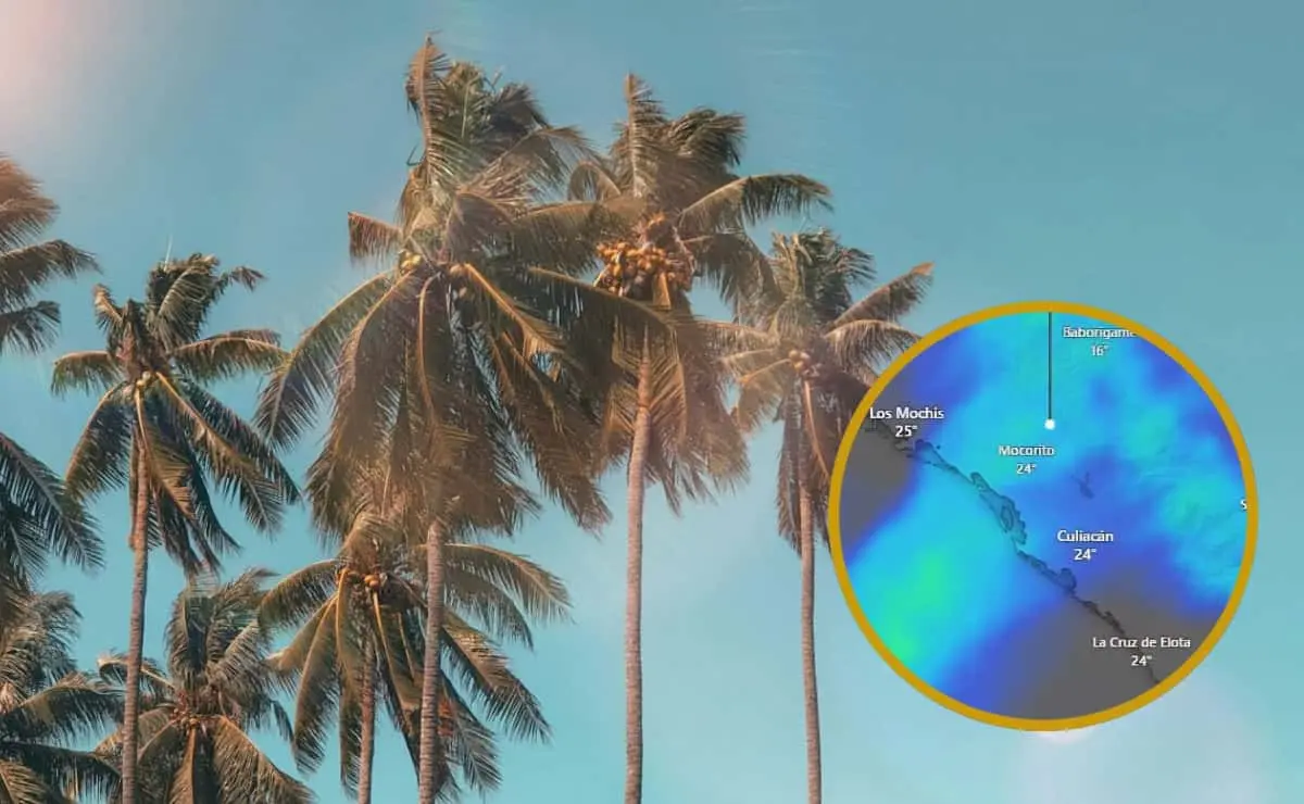 Se esperan temperaturas récord y vientos fuertes en Sinaloa luego de un calor inusual post Navidad