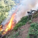 Soldados encuentran y eliminan 17 cultivos de marihuana en Mascota