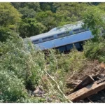 Tragedia en Oaxaca: 13 Víctimas Fatales en el Accidente del Tren Interoceánico