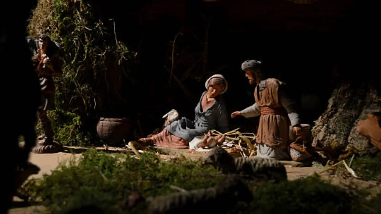 UNAM recomienda no utilizar musgo natural en decoraciones navideñas en México: conoce las razones