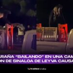 VIDEO| Debate en redes por mono araña "bailando" sobre camioneta en Sinaloa de Leyva