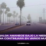 VIDEO| Niebla cubre Sinaloa al amanecer: se espera bruma en estos municipios mañana
