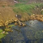 Vecinos reportan suciedad y malos olores en terreno abandonado de la avenida Francisco Medina debido a agua estancada