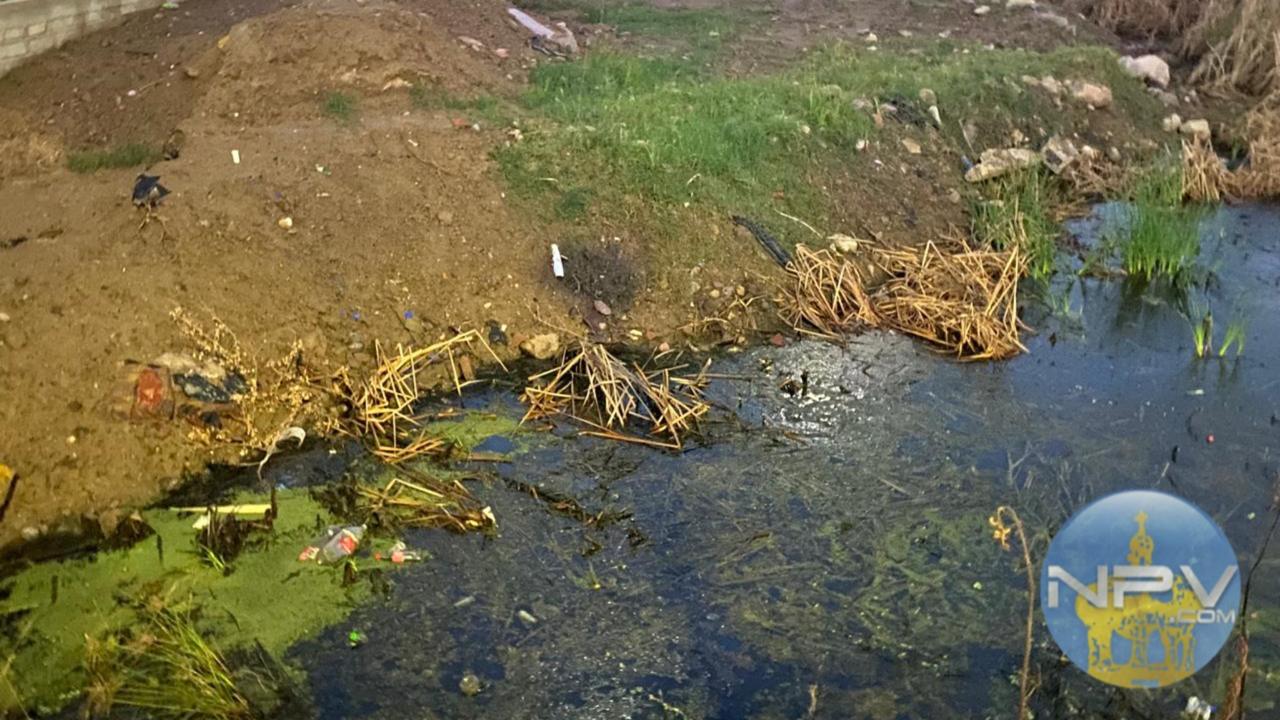 Vecinos reportan suciedad y malos olores en terreno abandonado de la avenida Francisco Medina debido a agua estancada
