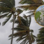 Viernes 26 de diciembre en Los Mochis: Viento intenso sacude la ciudad