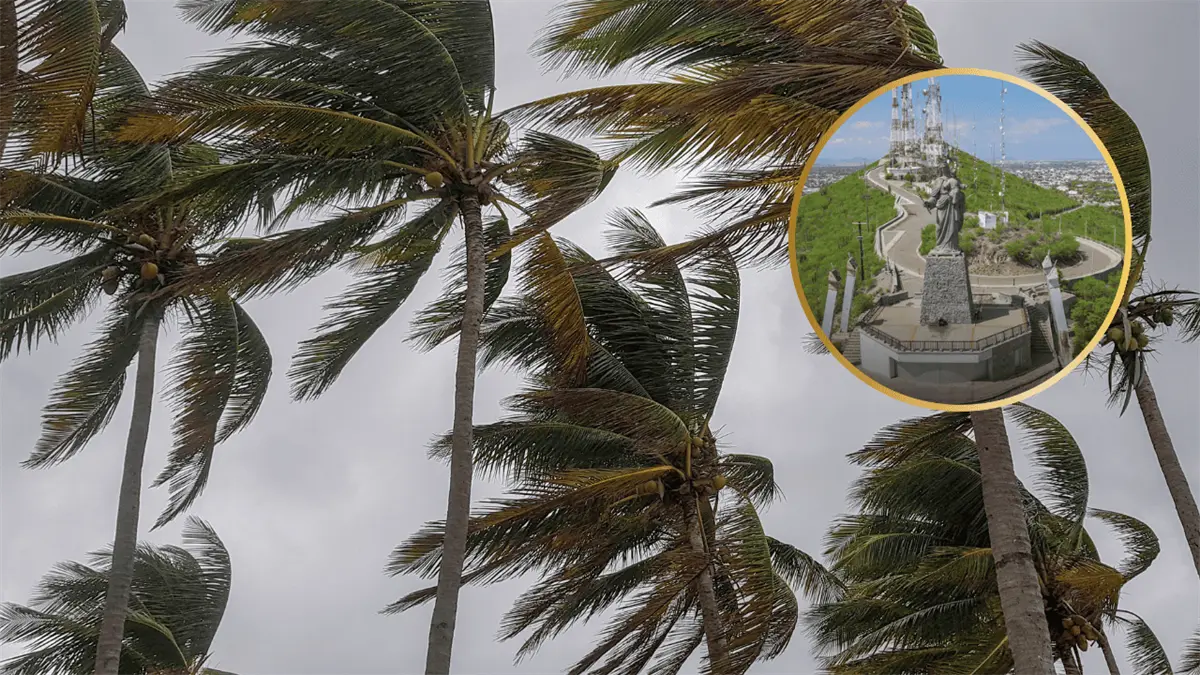 Viernes 26 de diciembre en Los Mochis: Viento intenso sacude la ciudad