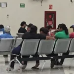 ¡18 vidas perdidas este año! Aumentan los casos de rickettsia en Sinaloa