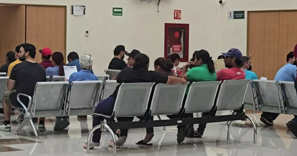 ¡18 vidas perdidas este año! Aumentan los casos de rickettsia en Sinaloa