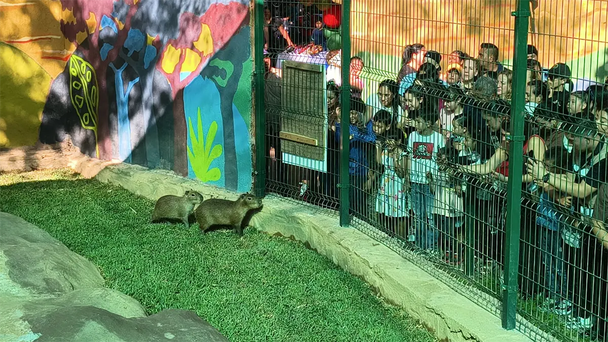 ¡Descubre a las adorables nuevas estrellas del Zoológico de Culiacán!