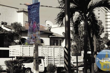 Impacto de la contaminación visual en la estética de la avenida Francisco Medina