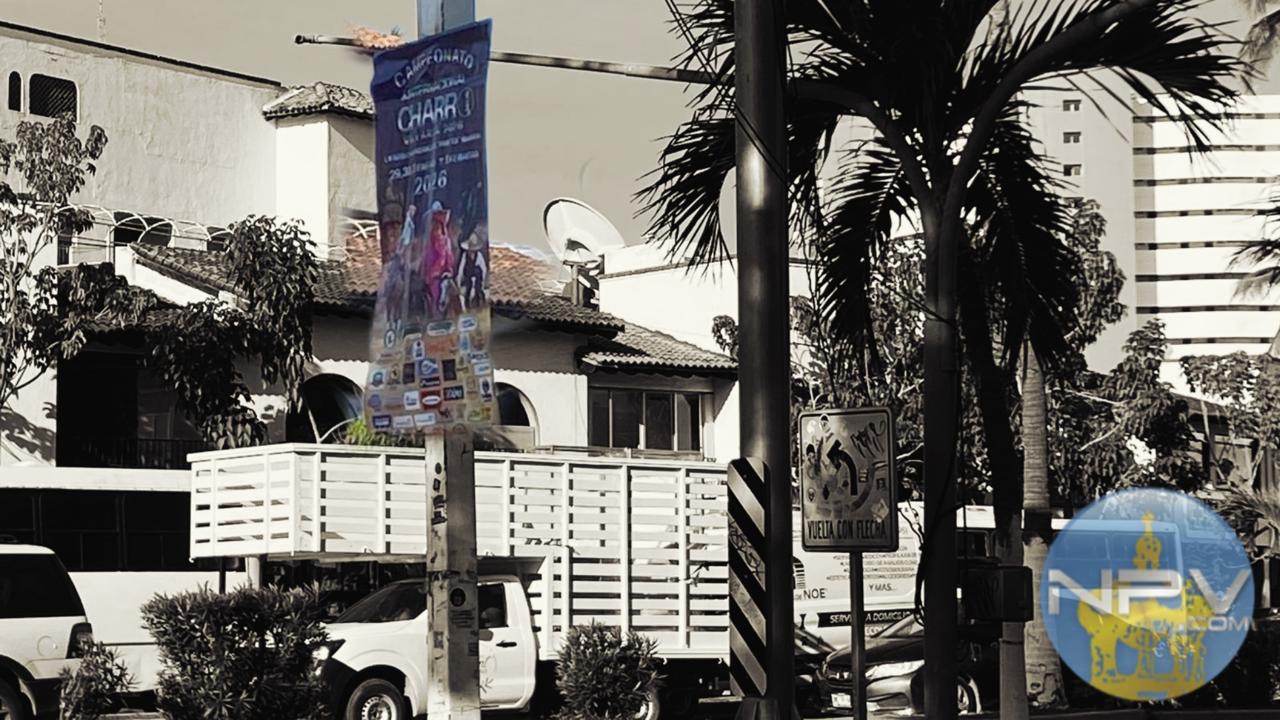 Impacto de la contaminación visual en la estética de la avenida Francisco Medina