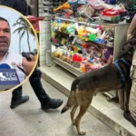 Protección Civil retira 60 kilos de pirotecnia en Mazatlán