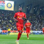 Mexicanos en el extranjero: Cómo ver