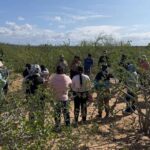 Llamada anónima revela 5 fosas clandestinas en Baja California Sur