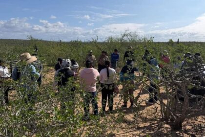Llamada anónima revela 5 fosas clandestinas en Baja California Sur