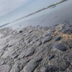 Pemex niega responsabilidad en derrame de petróleo en Veracruz