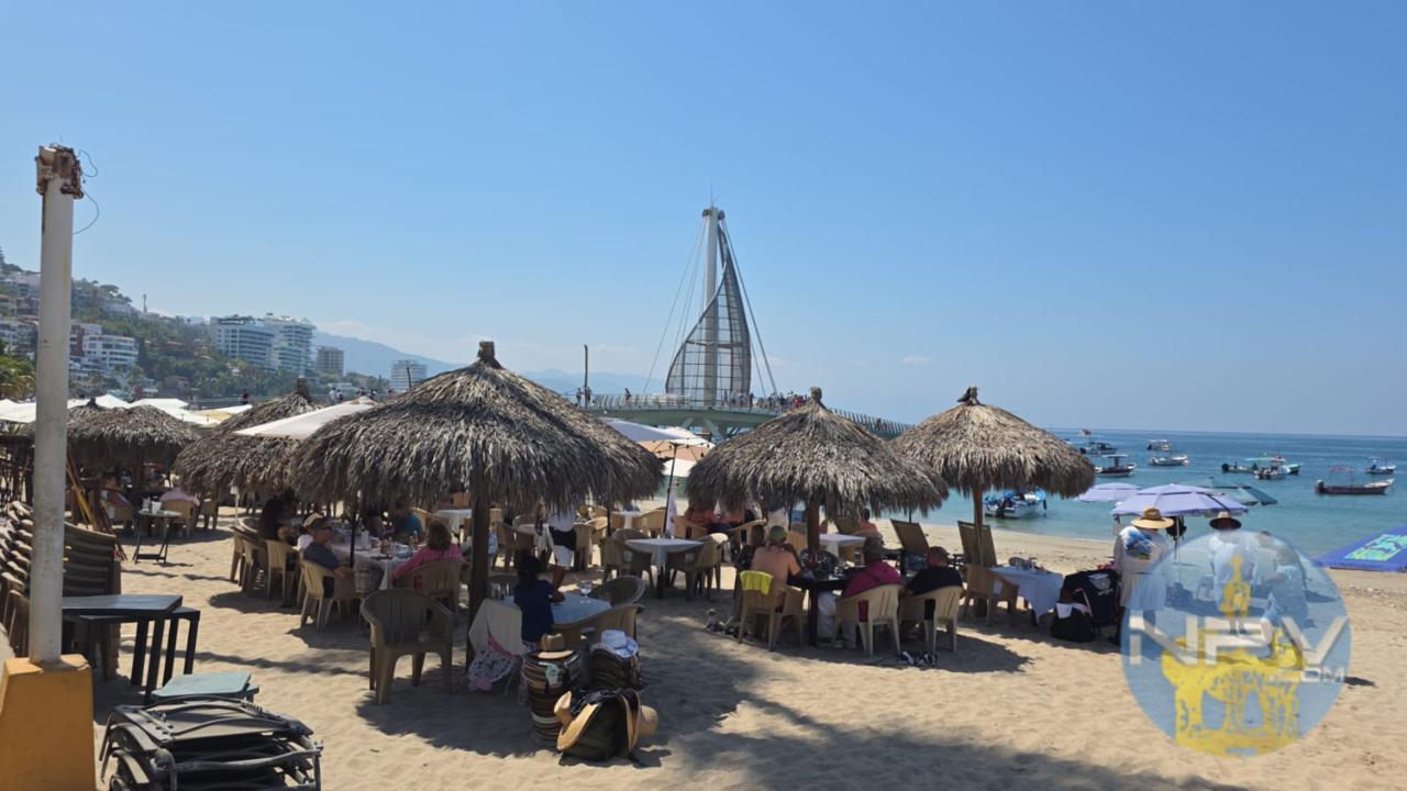 Visitantes confían en Puerto Vallarta y disfrutan al máximo