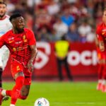 Mexicanos en el extranjero: Resumen