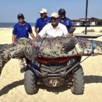 Cocodrilo de 300 kg alerta a bañistas en la playa Bacocho de Puerto Escondido