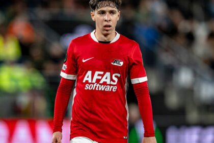 Mexicanos en el extranjero: Resumen