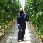 La economía mexicana se contrae un 0.8% en el primer trimestre del año