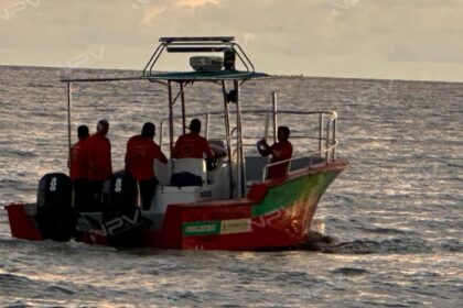 Encontran un cocodrilo de 3 metros sin vida en la costa de Marina Vallarta