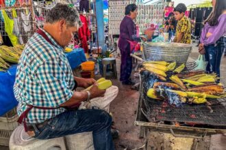 Explorando San Miguel de Allende: Murales, un eclipse y la cosecha de auras
