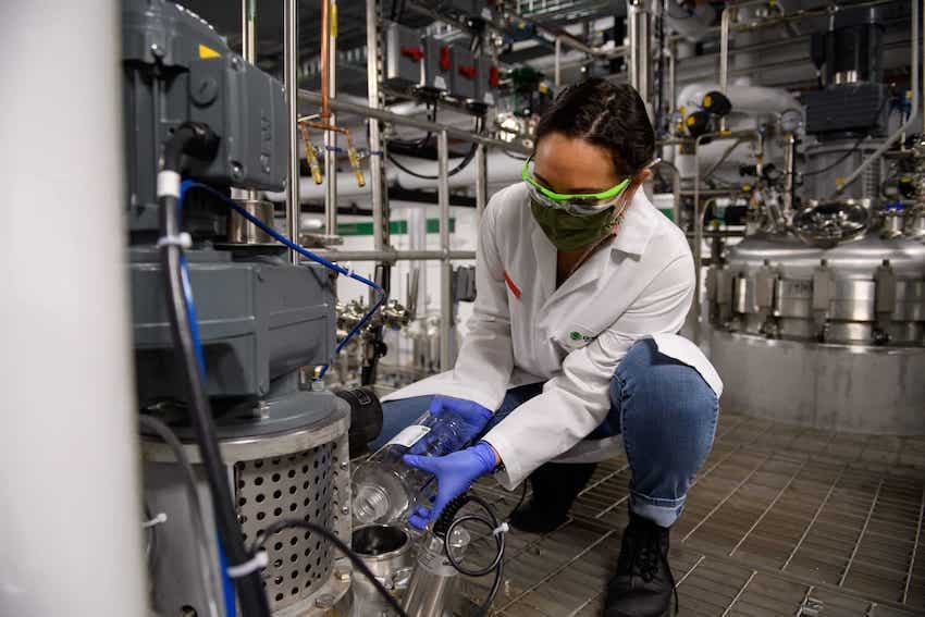 GreenLight invertirá $100 millones para producir un biofungicida de ARN único en México