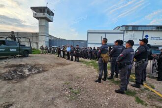 Hallan marihuana y herramientas durante la séptima inspección en la cárcel de Ixtapa