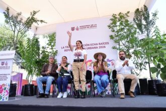 La Ciudad de México inicia campaña para plantar un millón de árboles nativos en distritos desatendidos para el 2030.