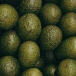 Las exportaciones de aguacate de México a EE. UU. aumentaron un 35% durante el primer trimestre