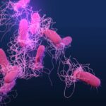 Brotes de salmonela afectan a 135 médicos en el Hospital General de la Ciudad de México