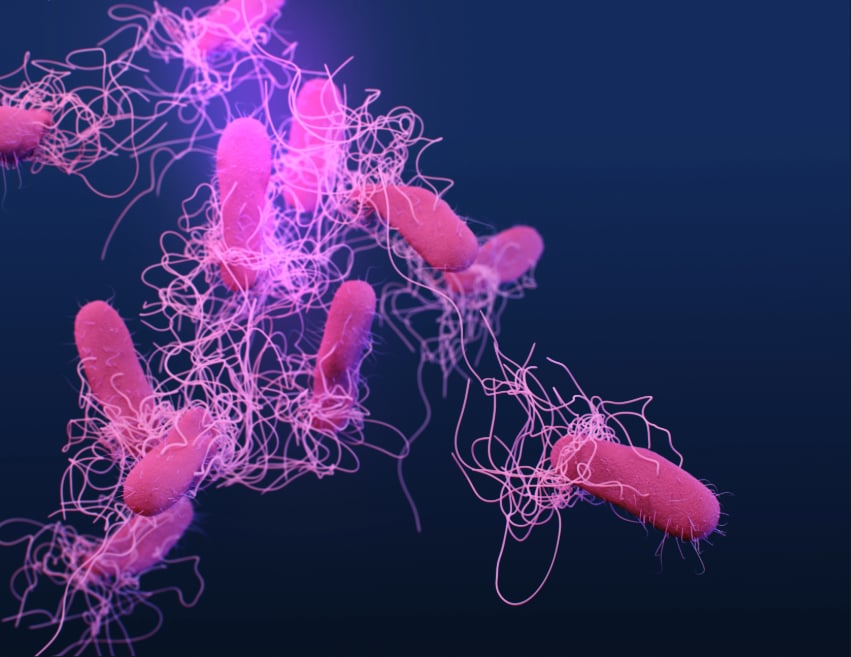 Brotes de salmonela afectan a 135 médicos en el Hospital General de la Ciudad de México
