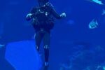 Del amor al mar a la conservación: Buceando en el Gran Acuario de Mazatlán